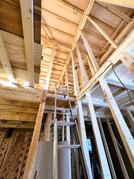 IMG_0118-262x350.jpg