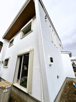 IMG_0467-262x350.jpg