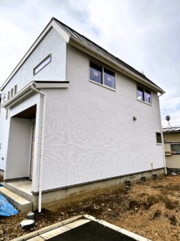 IMG_0470-262x350.jpg