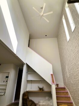 IMG_0509-263x350.jpg