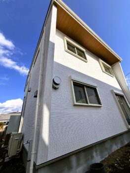 IMG_0523-263x350.jpg
