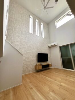 IMG_0801-263x350.jpg