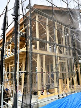 IMG_1208_2_0-263x350.jpg