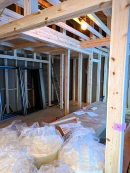 IMG_1284_15_0-263x350.jpg