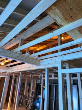 IMG_1286_17_0-263x350.jpg
