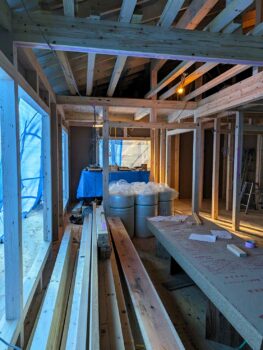 IMG_1287_18_0-263x350.jpg
