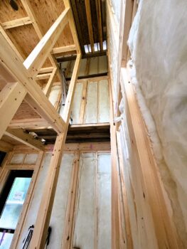 IMG_1439_10_0-263x350.jpg