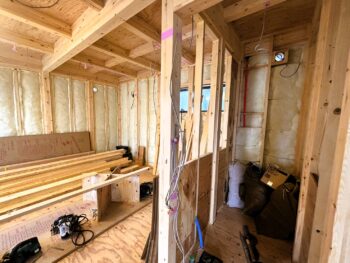 IMG_1490_4_0-350x263.jpg