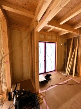 IMG_1528_5_0-263x350.jpg