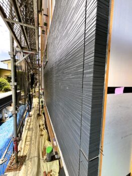 IMG_1571_4_0-263x350.jpg