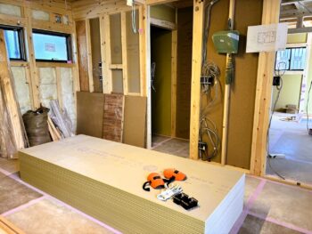 IMG_1574_7_0-350x263.jpg