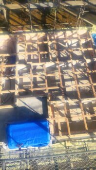 IMG_7512-197x350.jpg