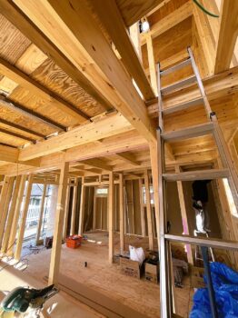 IMG_7527-262x350.jpg
