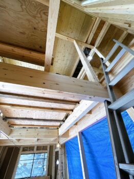 IMG_7571-262x350.jpg