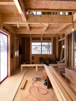 IMG_7576-262x350.jpg