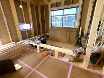 IMG_7652-350x262.jpg