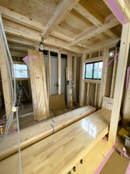 IMG_7713-262x350.jpg