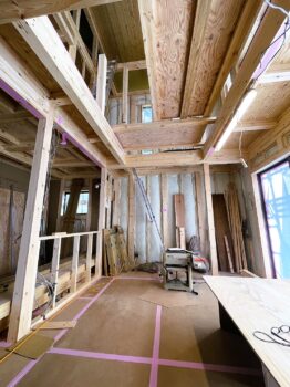 IMG_7754-262x350.jpg