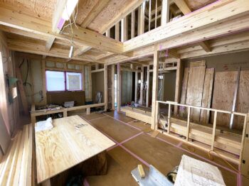 IMG_7760-350x262.jpg