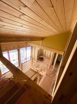 IMG_7803-262x350.jpg