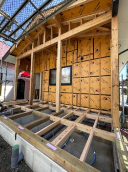 IMG_9451-262x350.jpg