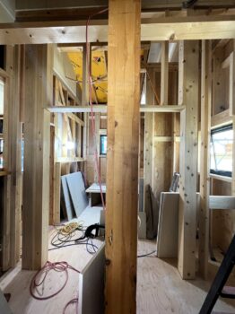 IMG_9520-262x350.jpg